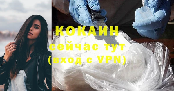 стаф Баксан