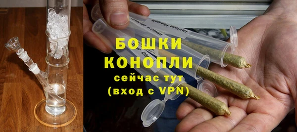 стаф Баксан